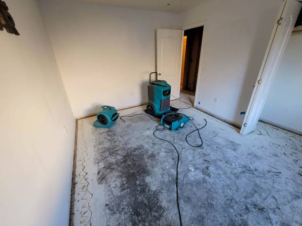 Best Flood restoration services  in Conroe, TX