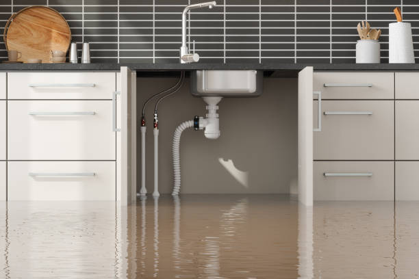 Best 24/7 water damage repair  in Conroe, TX